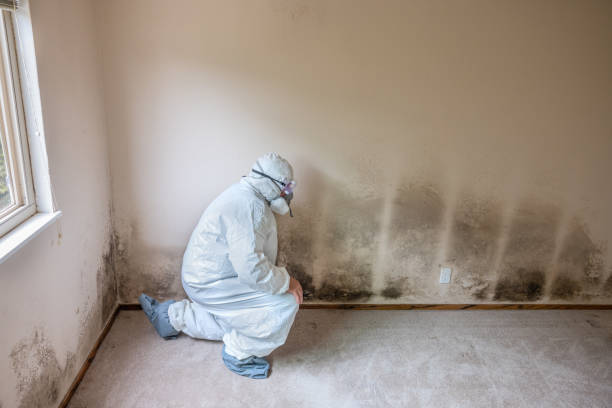 Best Air Quality Testing for Mold Spores  in Oakridge, OR