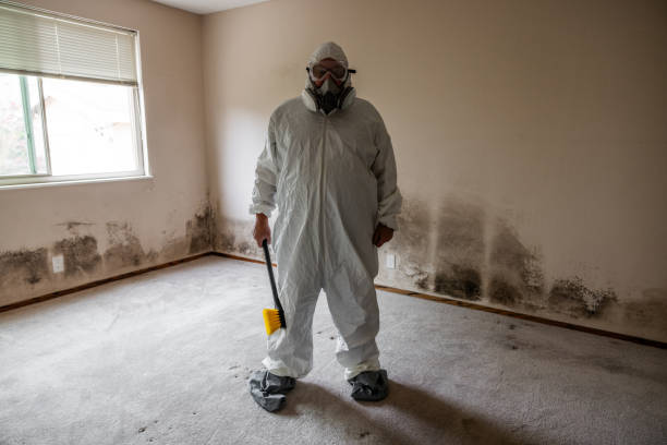 Biohazard Mold Removal in Oakridge, OR